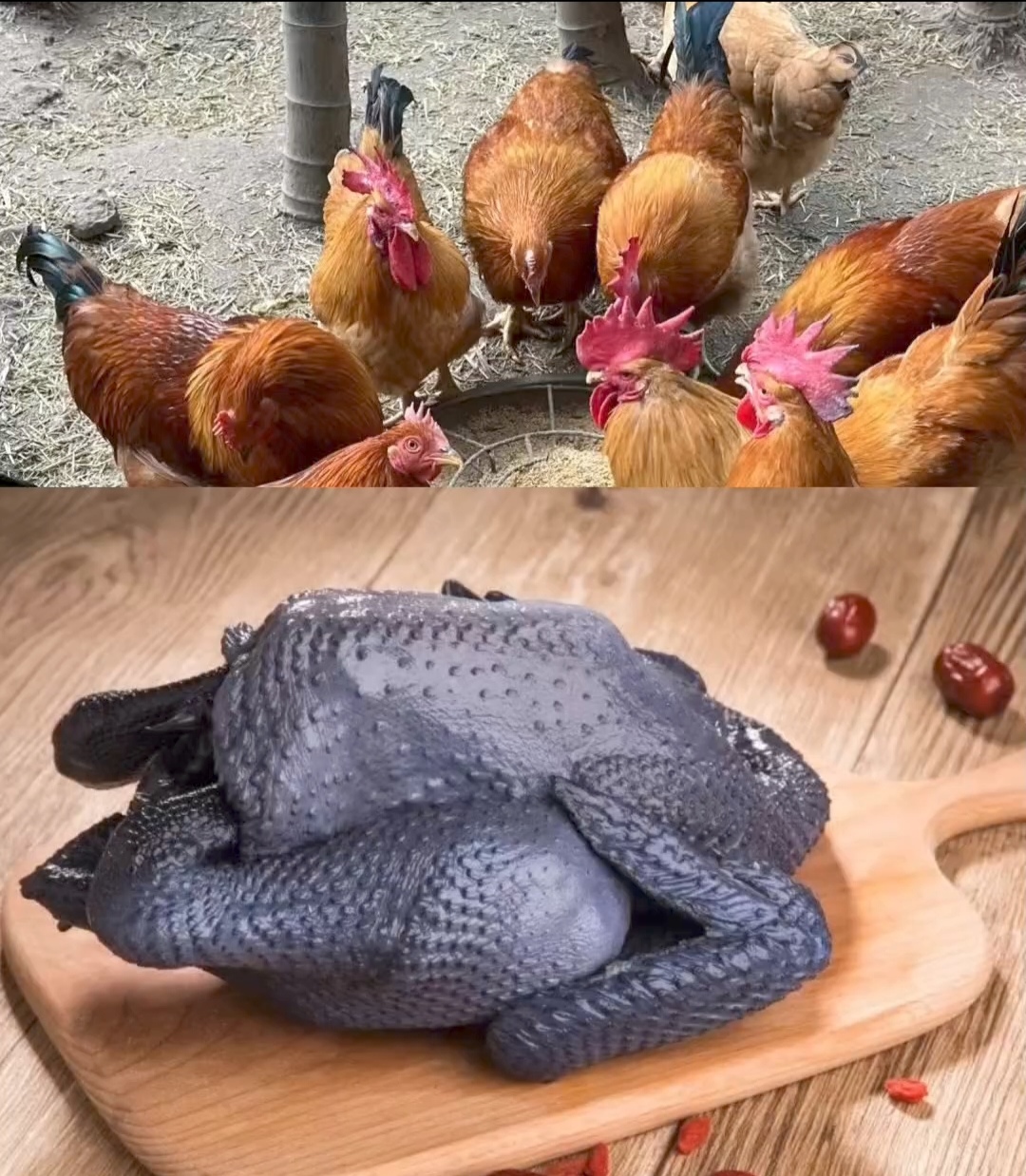 云南本地老品种九斤红土乌鸡阉鸡肉质鲜美生鲜包邮
