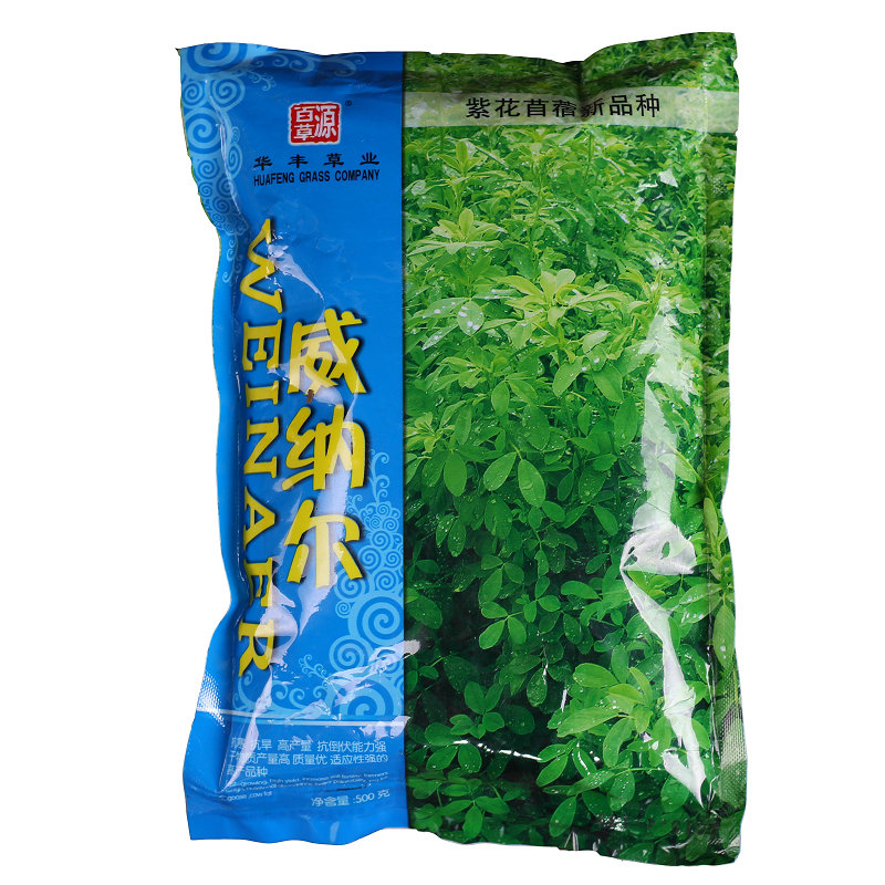 百萌威纳尔紫花苜蓿种子  抗寒抗旱 耐盐碱土壤 多年生牧草种子