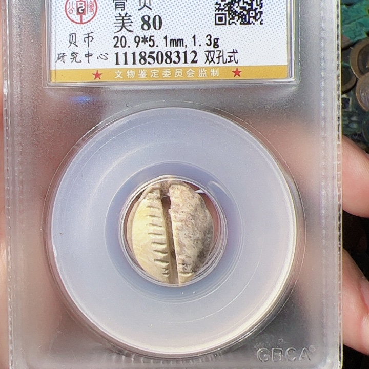 ګ***生金骨贝漂亮的精品123