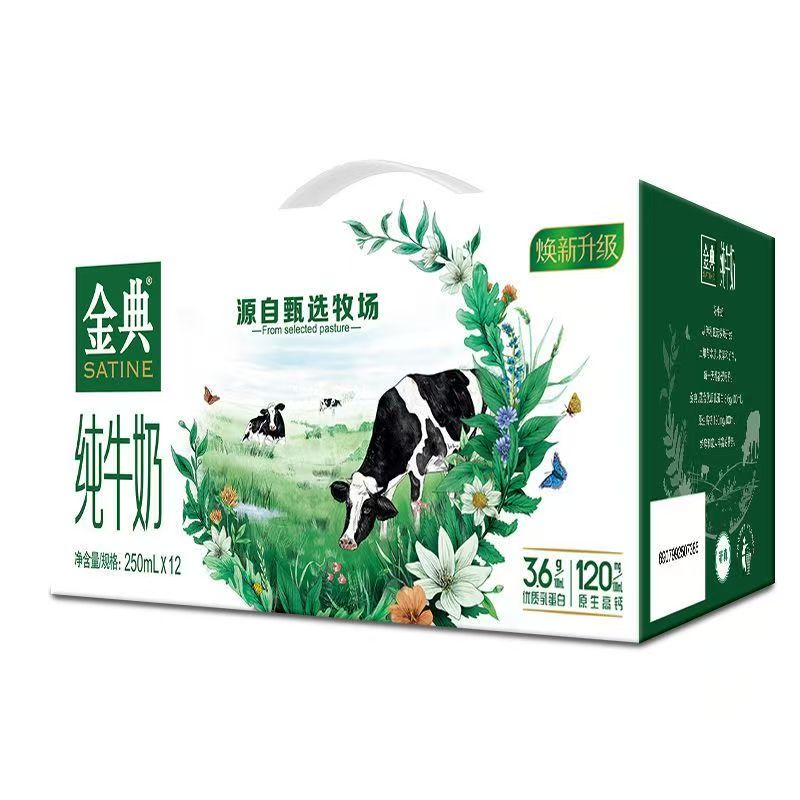 金典纯牛奶250ML*20