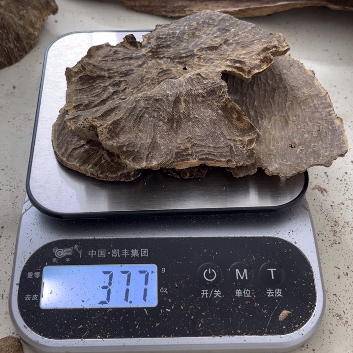 沉香摆件海南沉香块料37克+