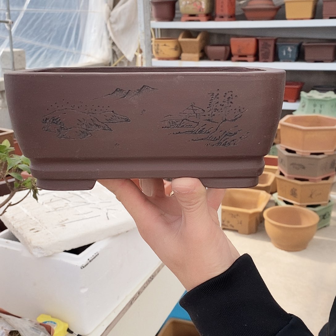 紫砂花盆紫砂花盆