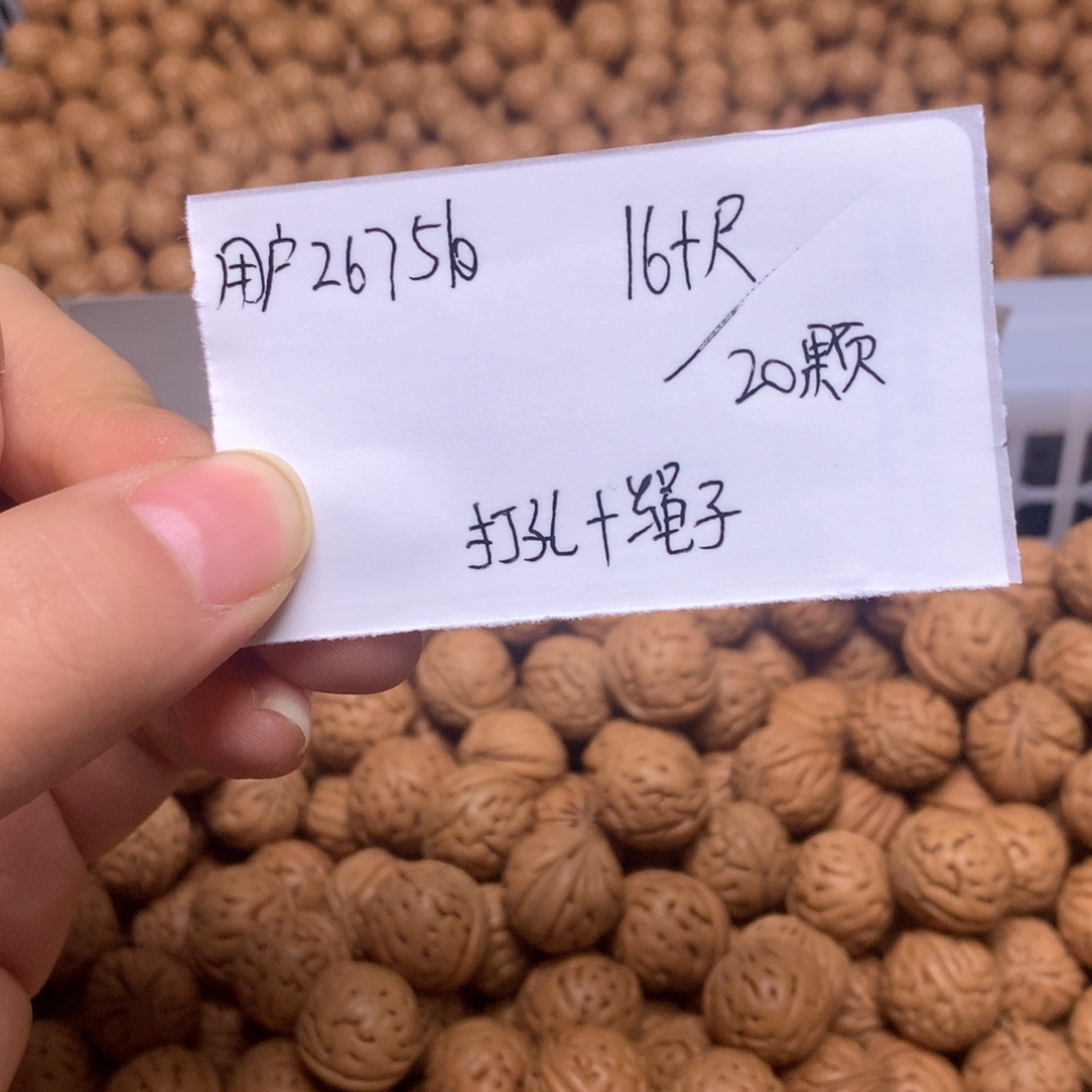 小馒头16➕尺20颗籽