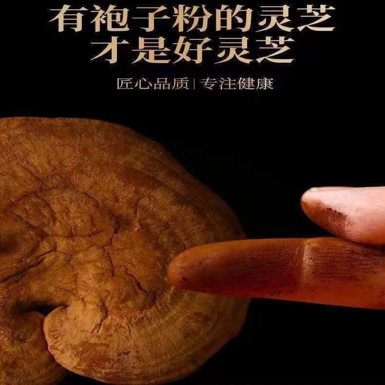 长白山赤灵芝可泡茶泡酒干灵芝表面带孢子粉不苦