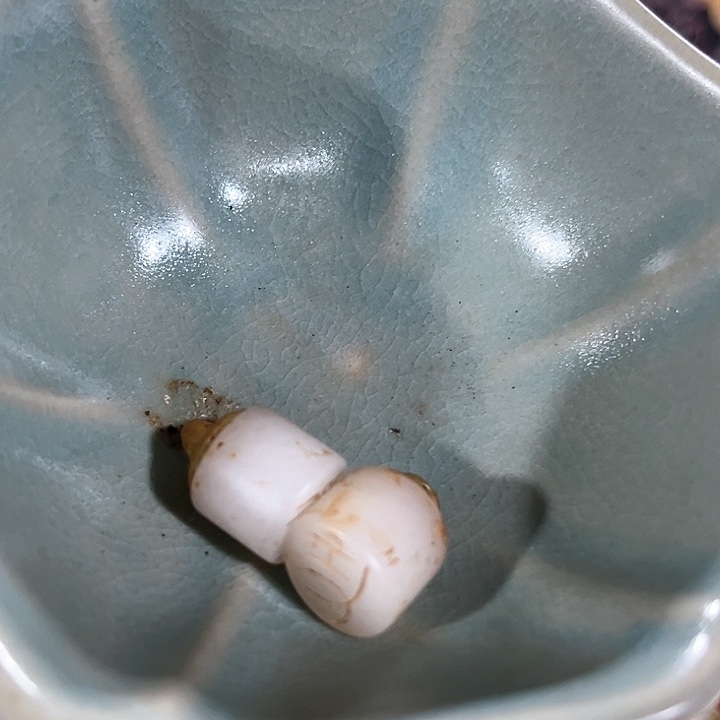 摆件瓷器瓷器瓷器瓷器