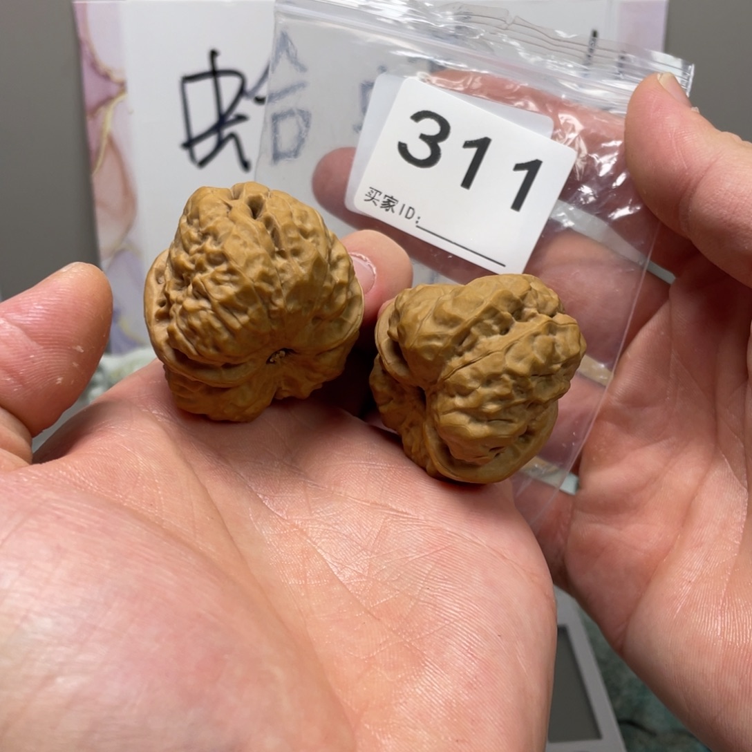 黑***豆核桃蛤蟆头文玩311