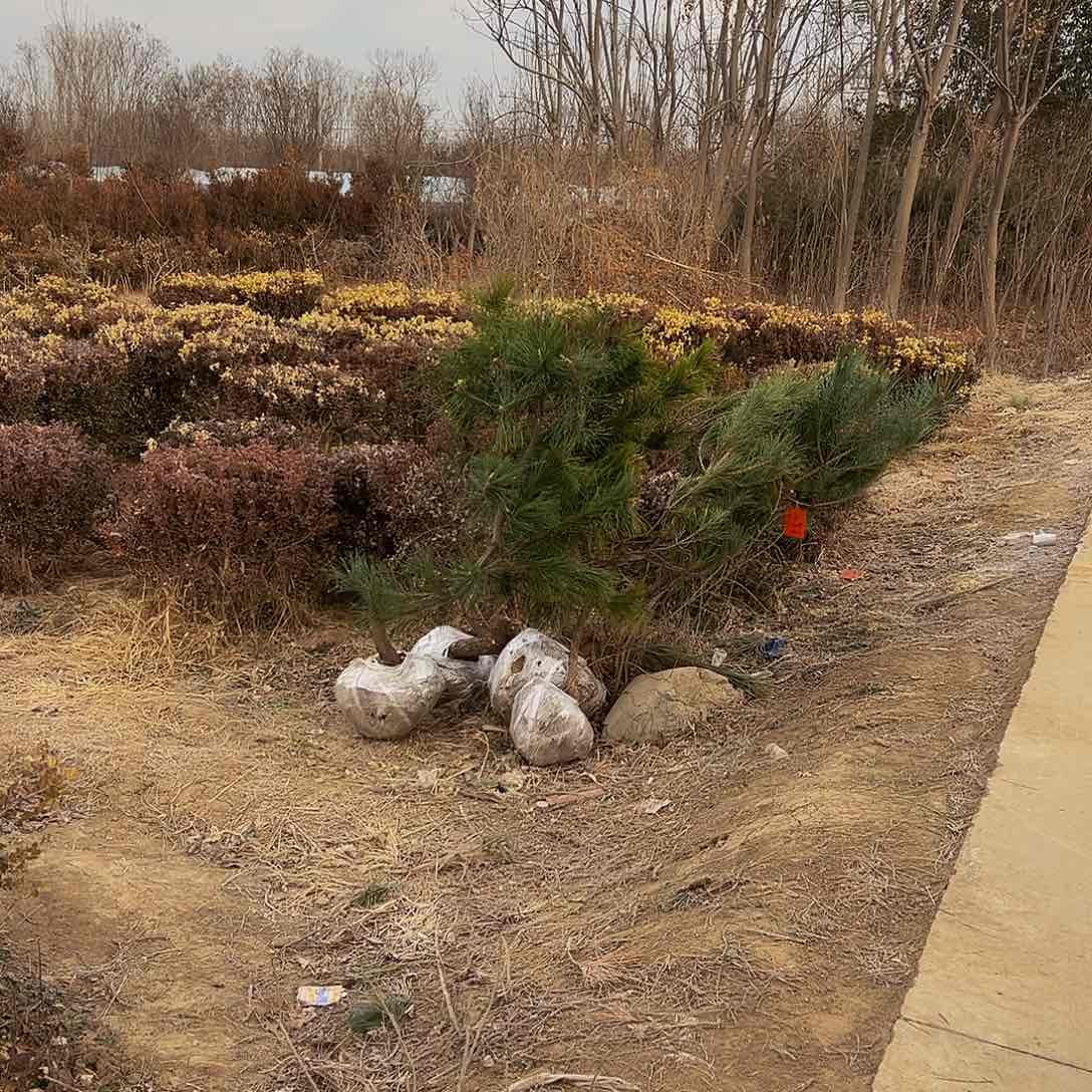 绝*8888888888888888