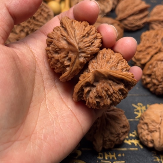 ****黑盘龙纹异性半臂有磕