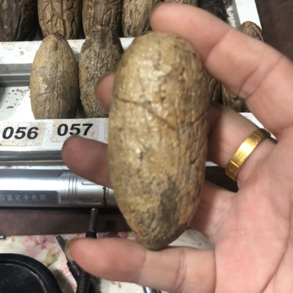 随机天然千眼菩提原果收藏把玩不退不换，偏远地区不包邮
