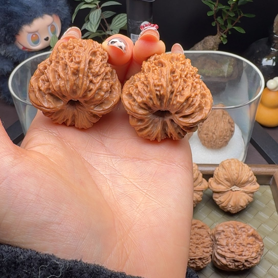 核桃凹底南疆（微修打底）40+