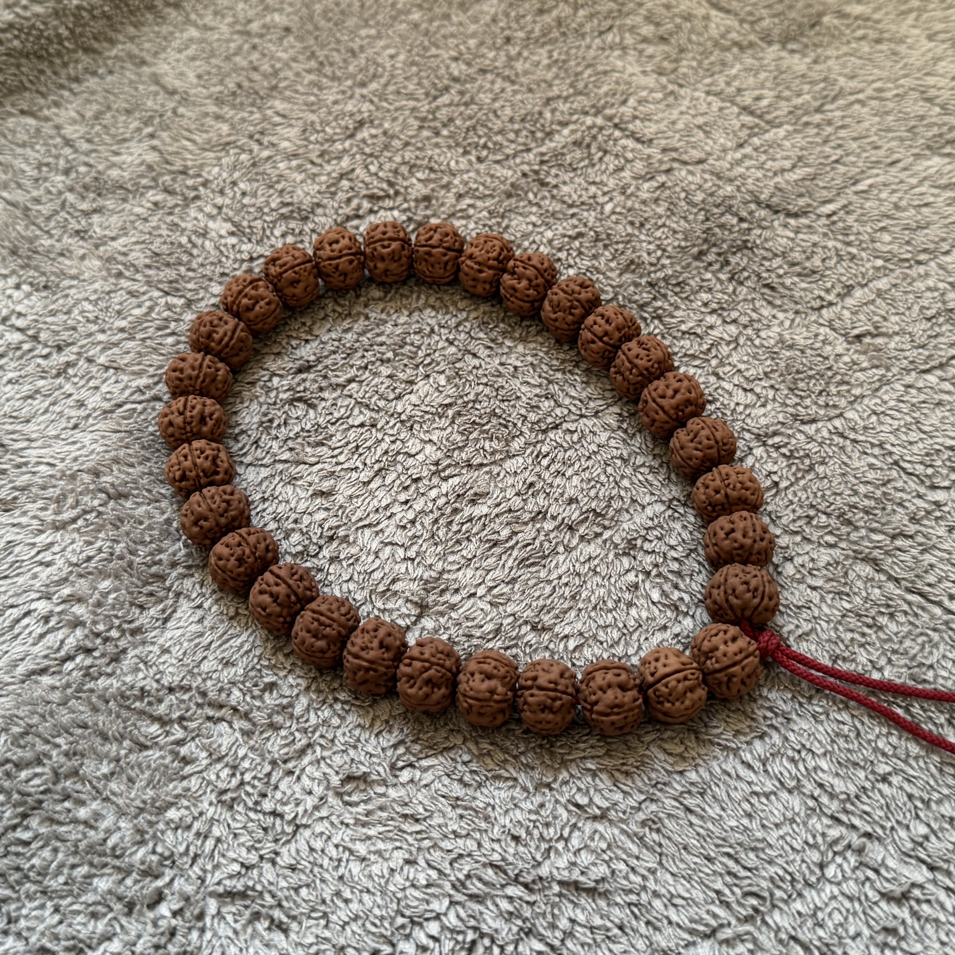 【纯血老树王】粗筋爆肉南瓜桩皮质天花板小金刚菩提