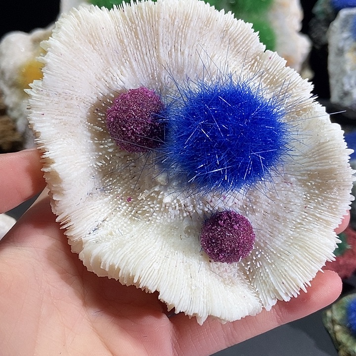 沙***》石材石头。。。。。。。。。。。。