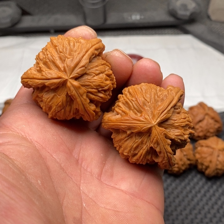 核桃把件拼接白狮子10