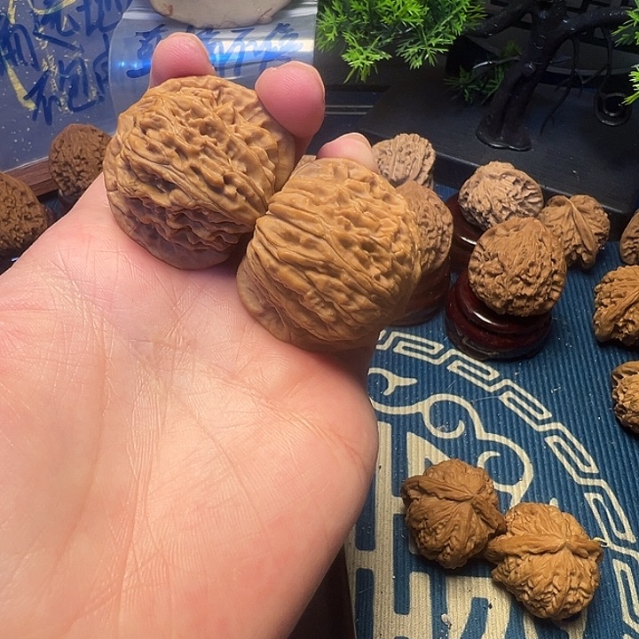 39尺全品无修矮壮楼子