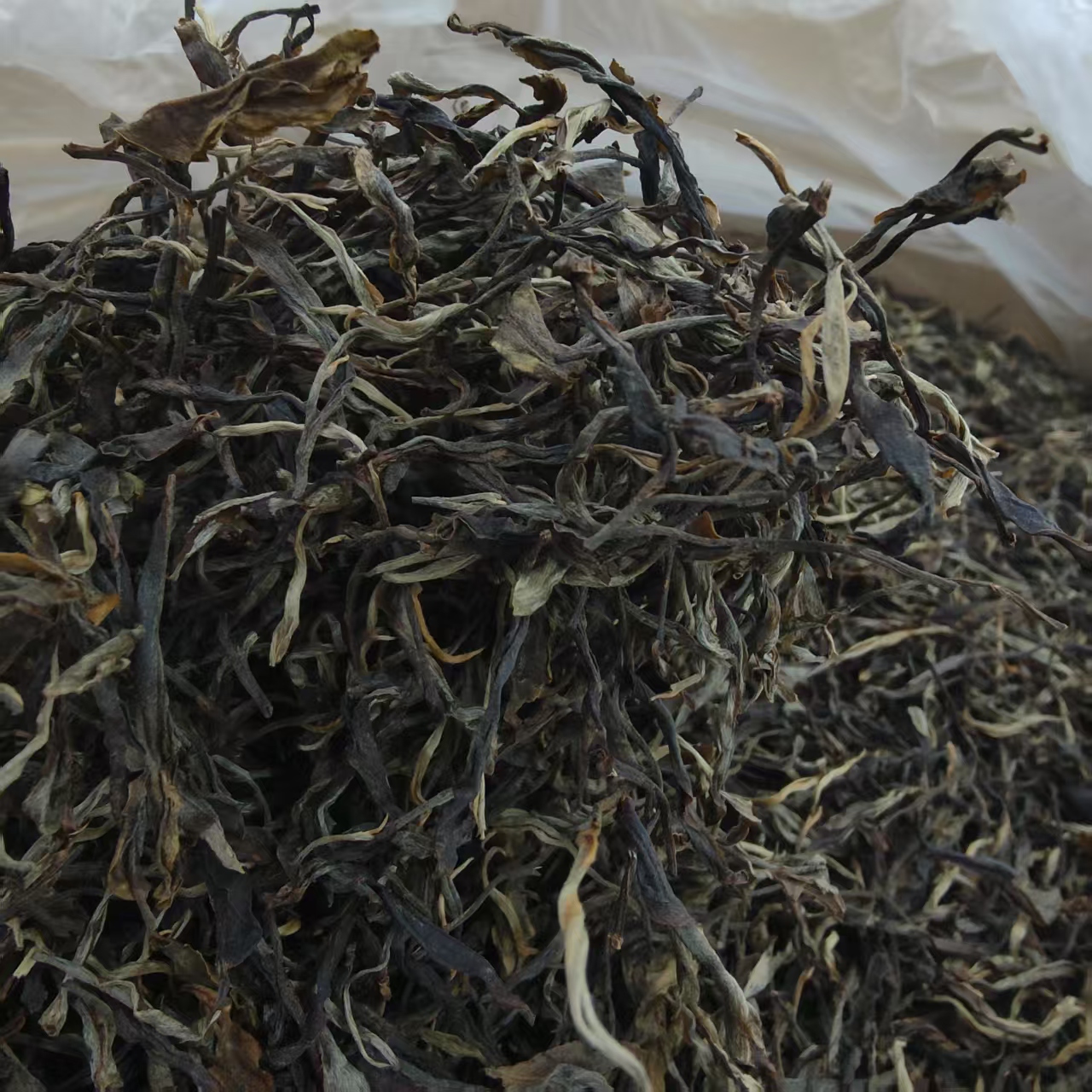 2022年飞台西瓜藤条春茶 500克 普洱茶 生茶