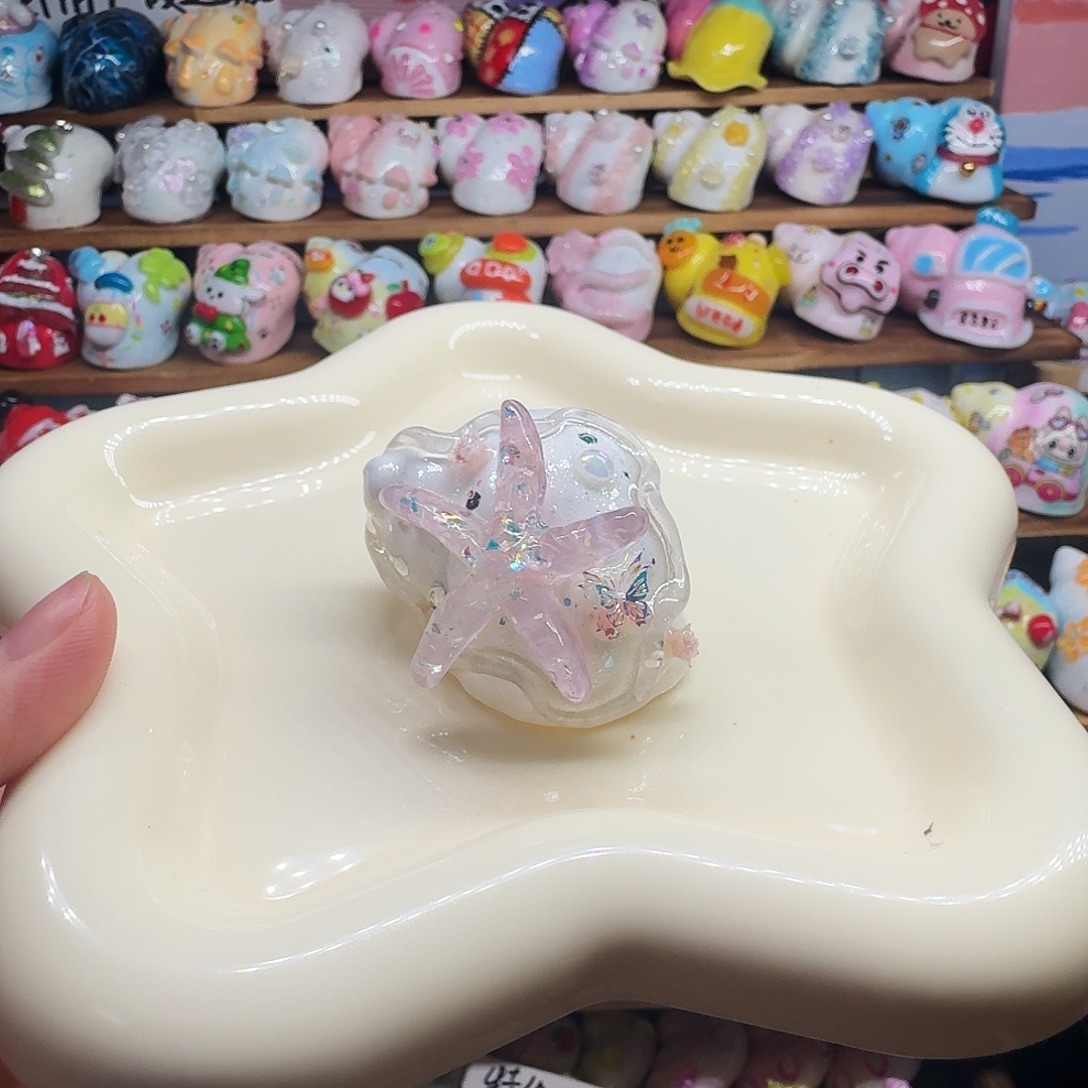 特价海星2.7口寄居蟹手工替换壳