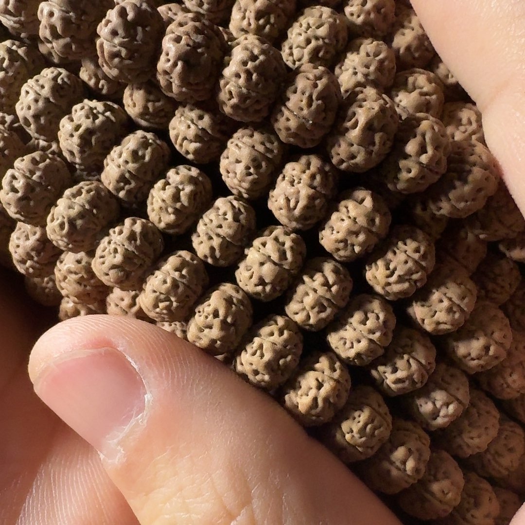 吊坠金刚菩提老树王福利全品