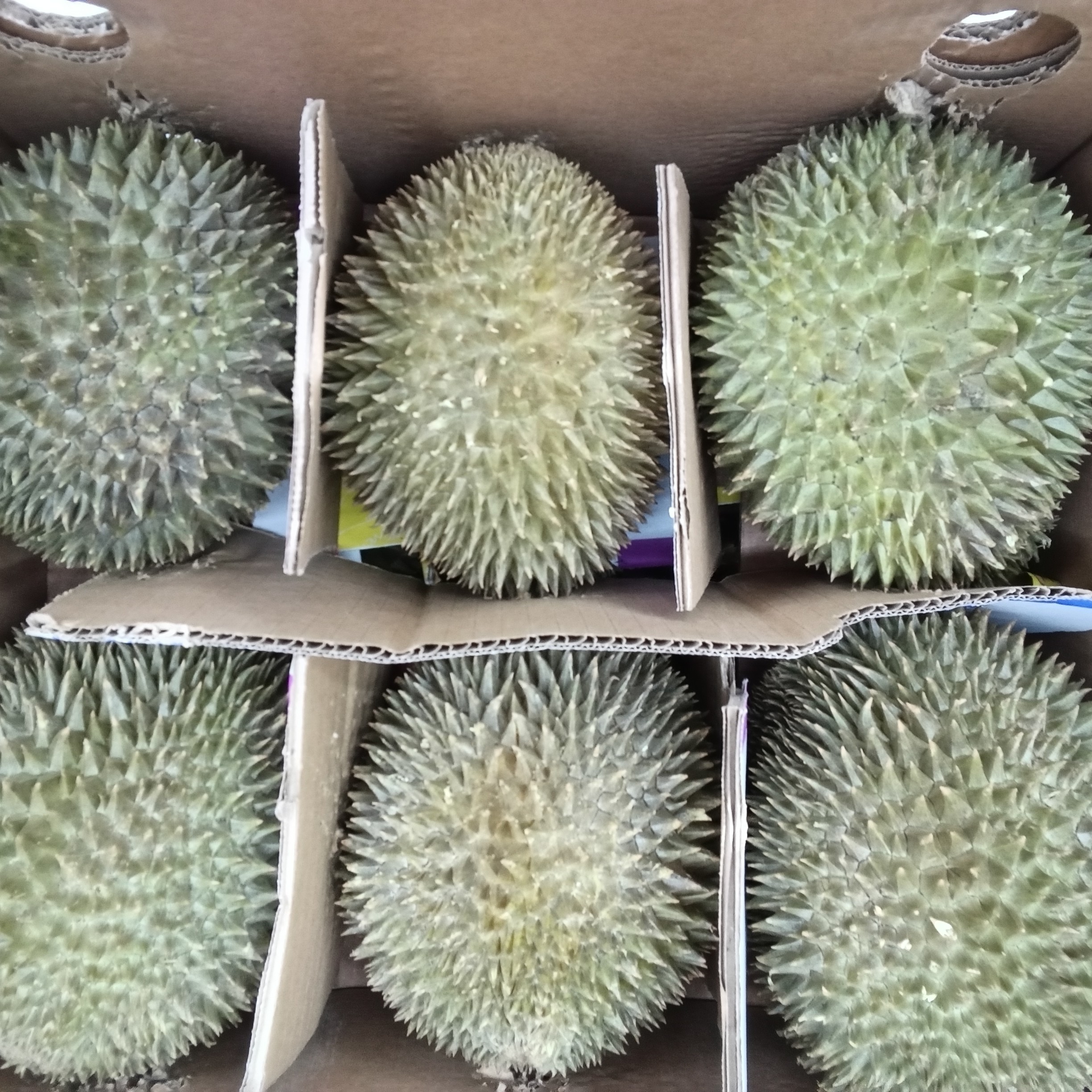 马来西亚猫山王新鲜榴莲2-3斤核大猫山王马来西亚