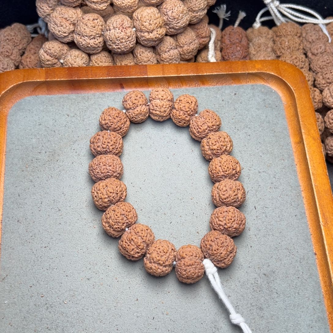 菩提25号金刚菩提蜂王20