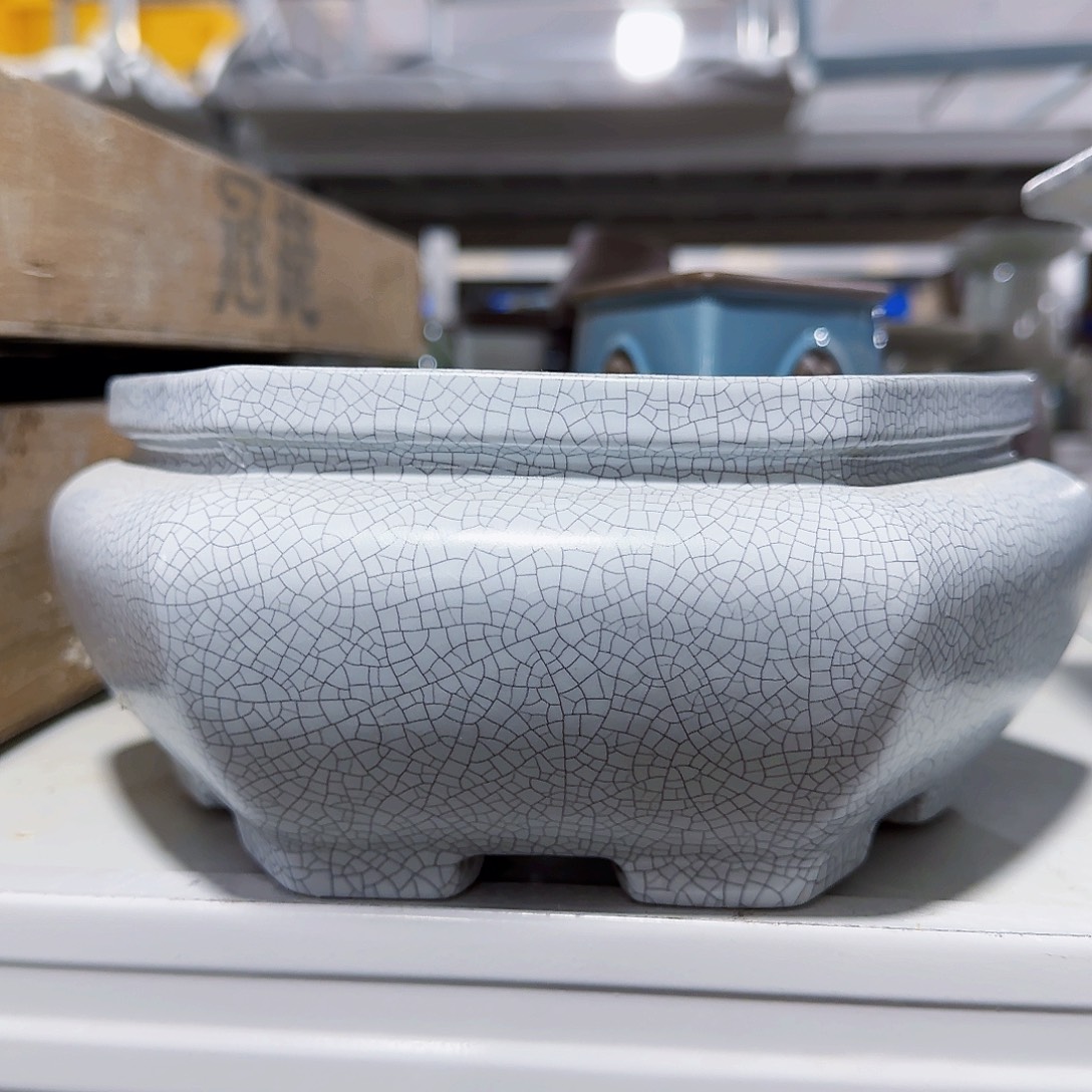 陶瓷花盆特价上新