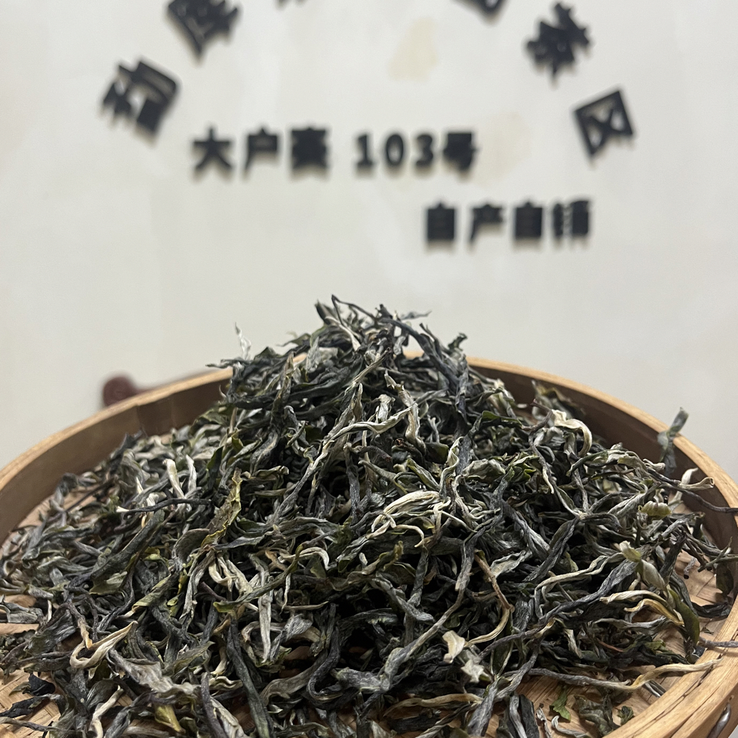 2025大树头春普洱生茶散料