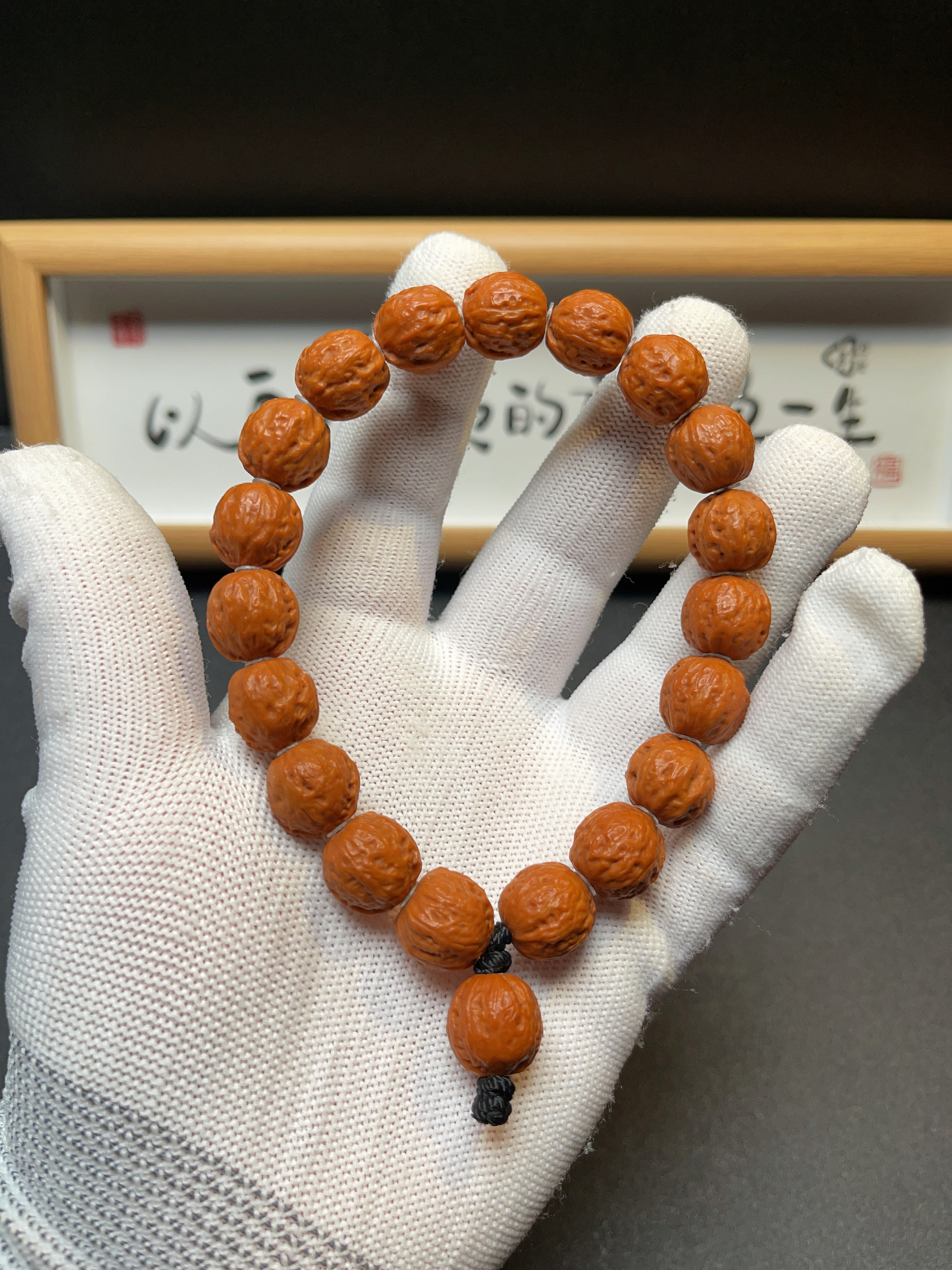 【16号】小金豆楸子【小尺寸精品】野核矮桩小尺寸1.3尺20颗籽