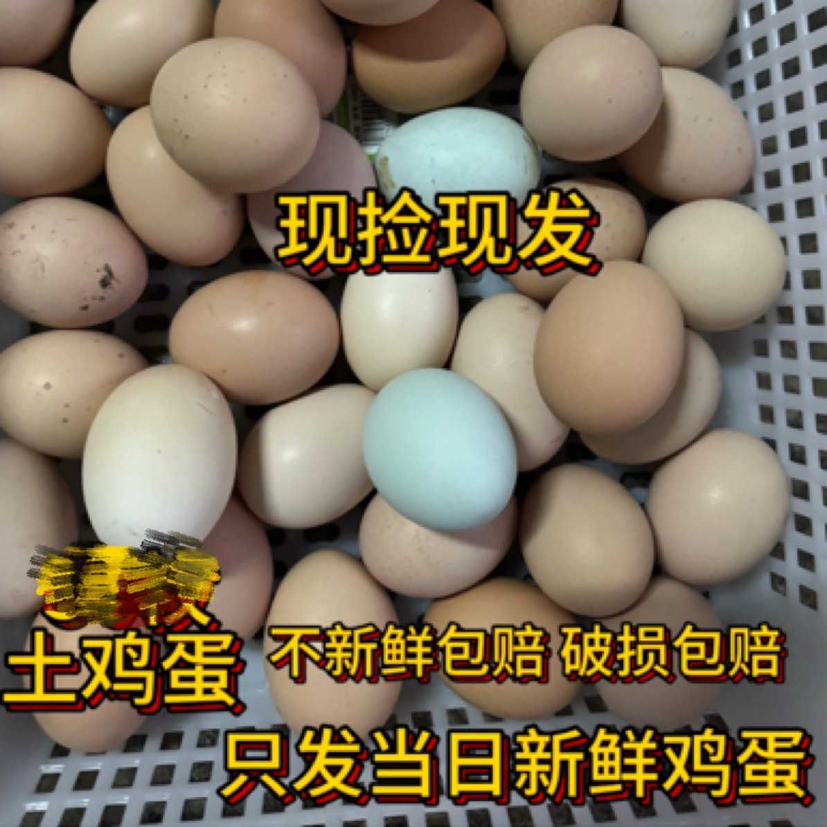 农村土鸡蛋，破损包赔，不新鲜包赔