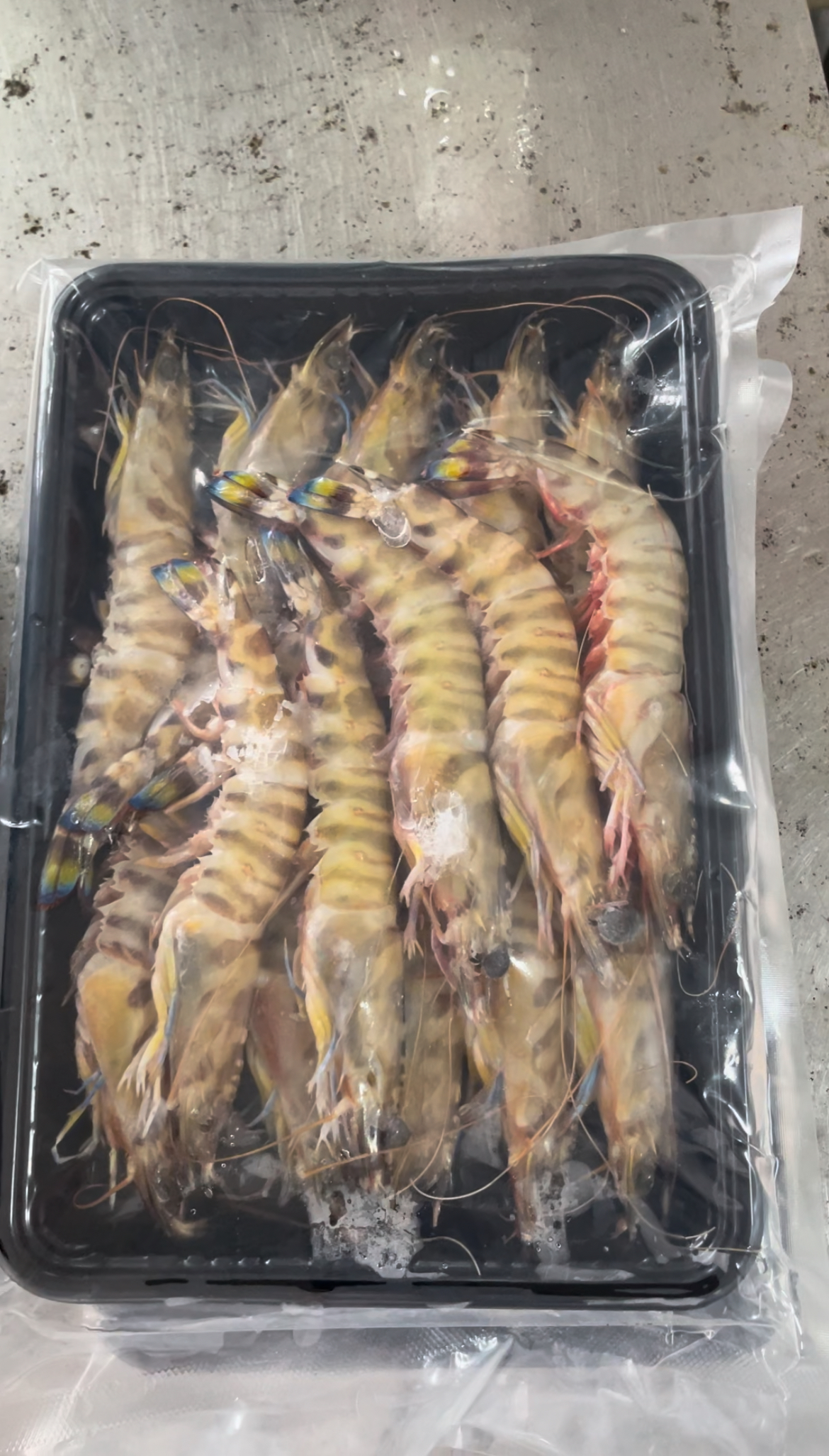 【斑节虾】本地新鲜斑节虾九节虾 顺丰速冻发货