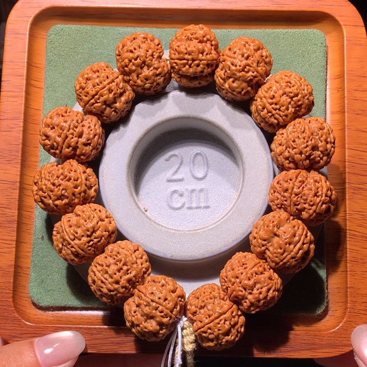 手串金刚菩提23+六瓣满肉
