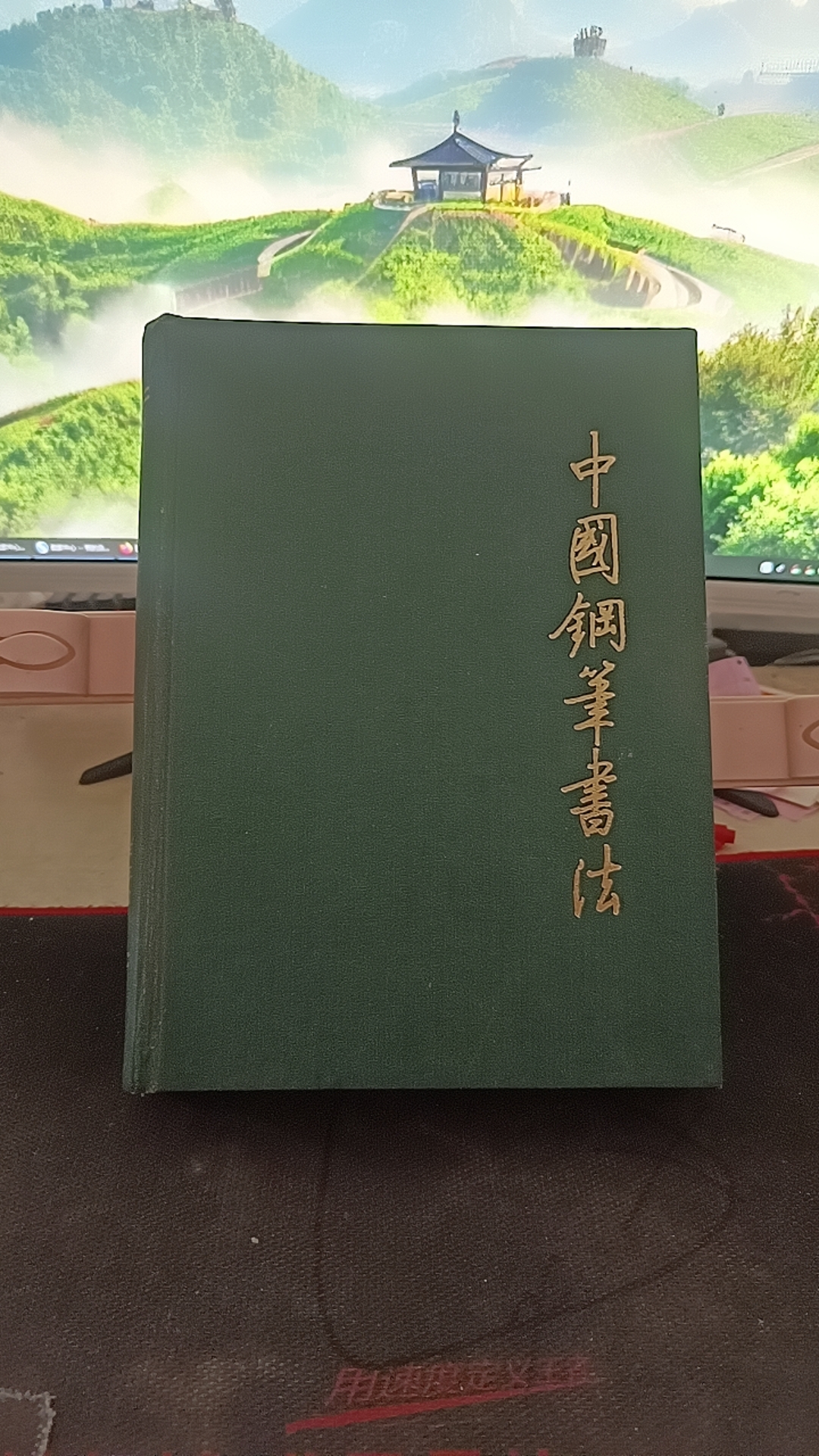 9新  中国钢笔书法1991年1992年合订本 浙江青年报社