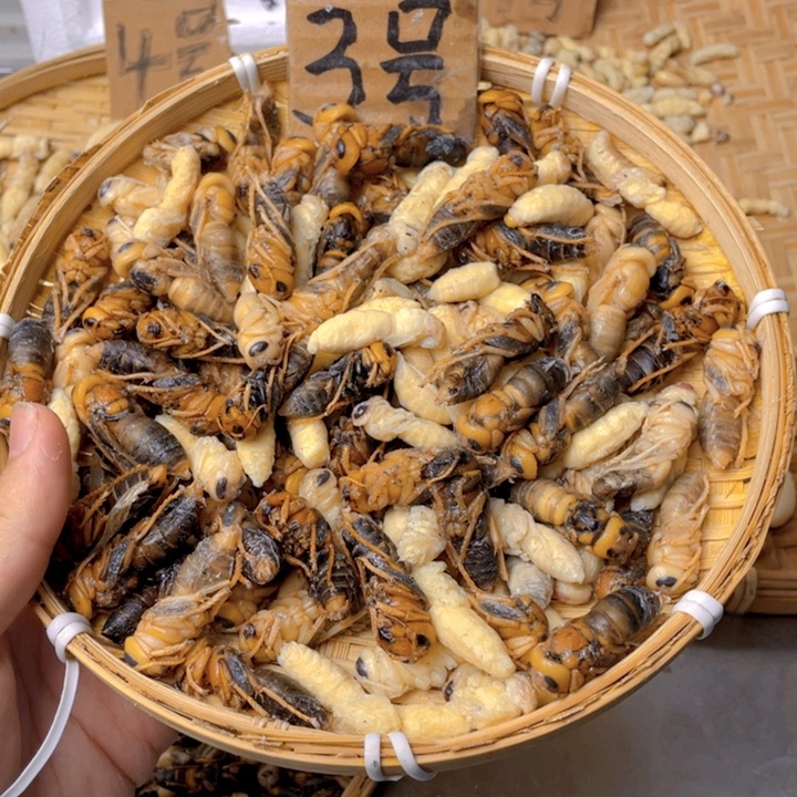 专***。7天中国大陆虎头蜂四级十斤