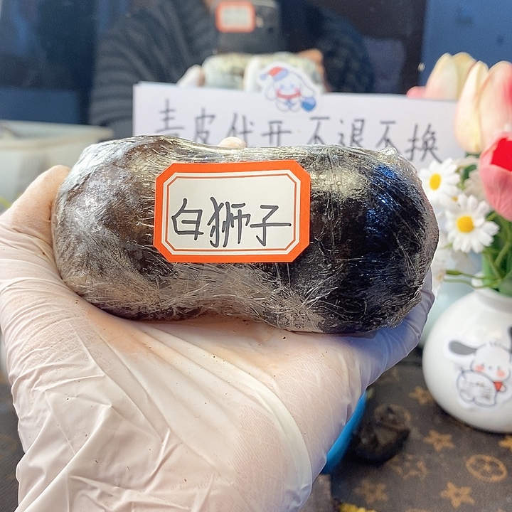 安***安核桃核桃核桃核桃