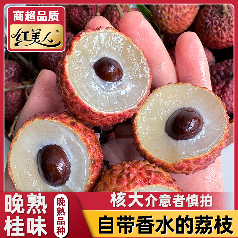 【邮政直播间专属】正宗桂味荔枝新鲜现摘老树果1