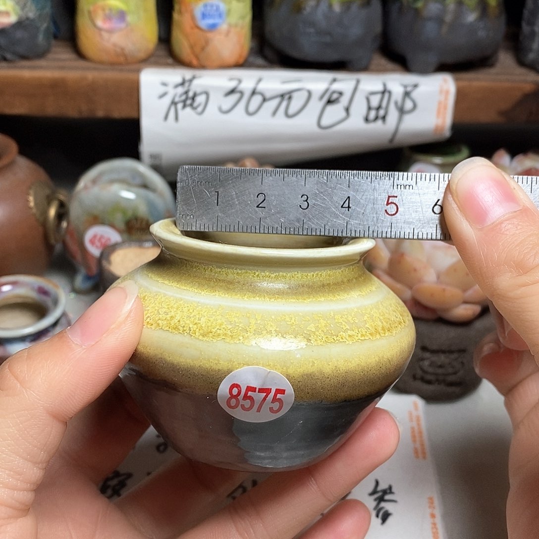 红陶拍5送一个小