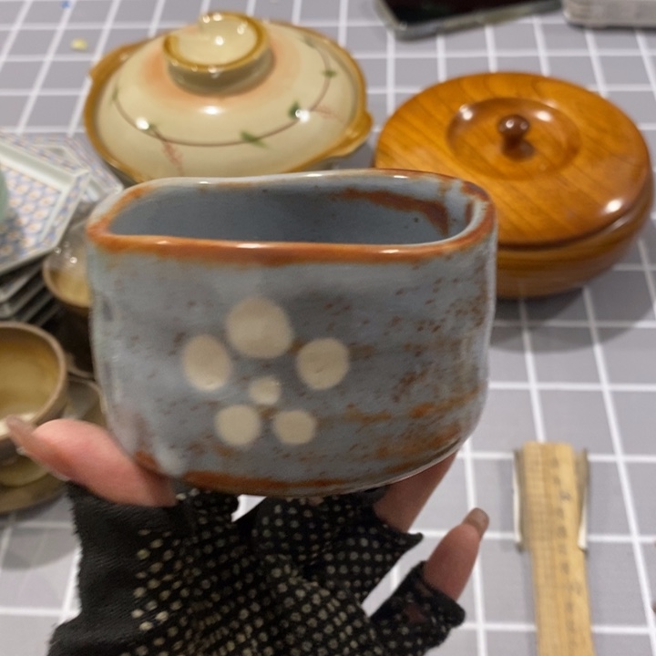 在这个充满生机又神秘美丽