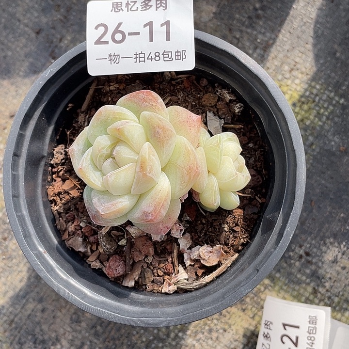 兔****你在干嘛呢我在洗衣服呢我想