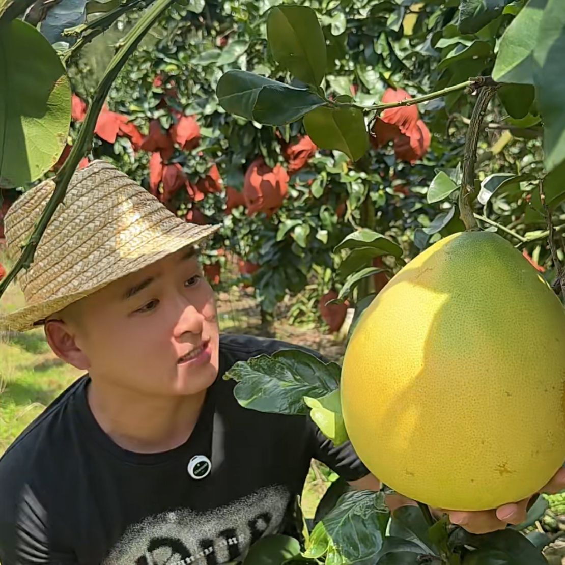 广西三红蜜柚新鲜水果