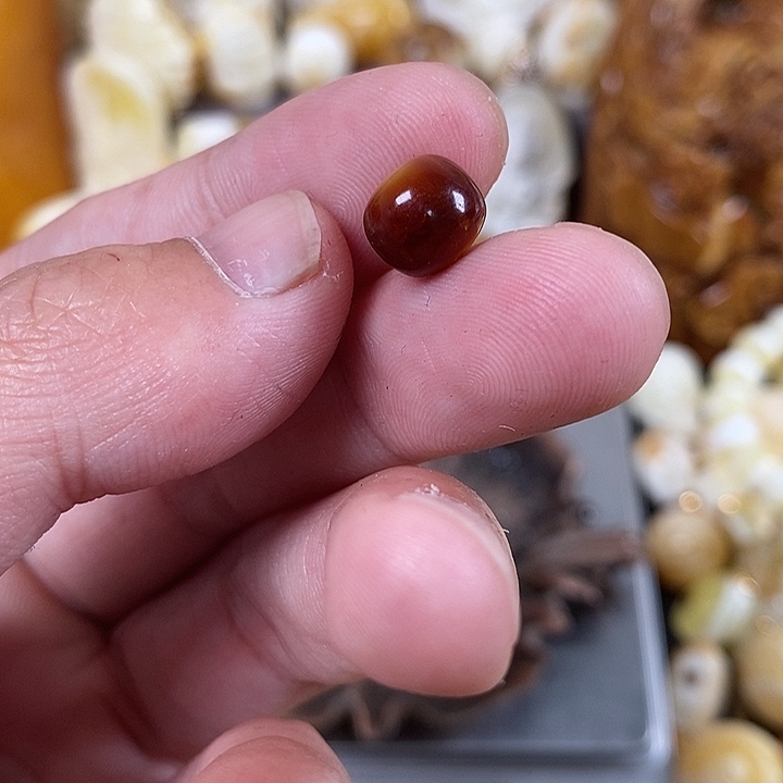 琥珀裸石未镶嵌我