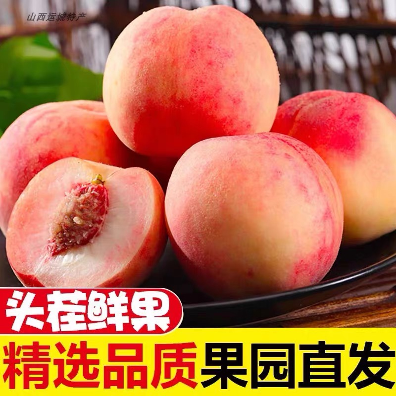 【现摘现发】水蜜桃脆蜜桃香甜多汁带箱5斤到手8-12个应季水果LDL