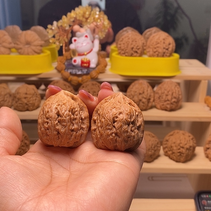 36尺寸的金钱豹核桃