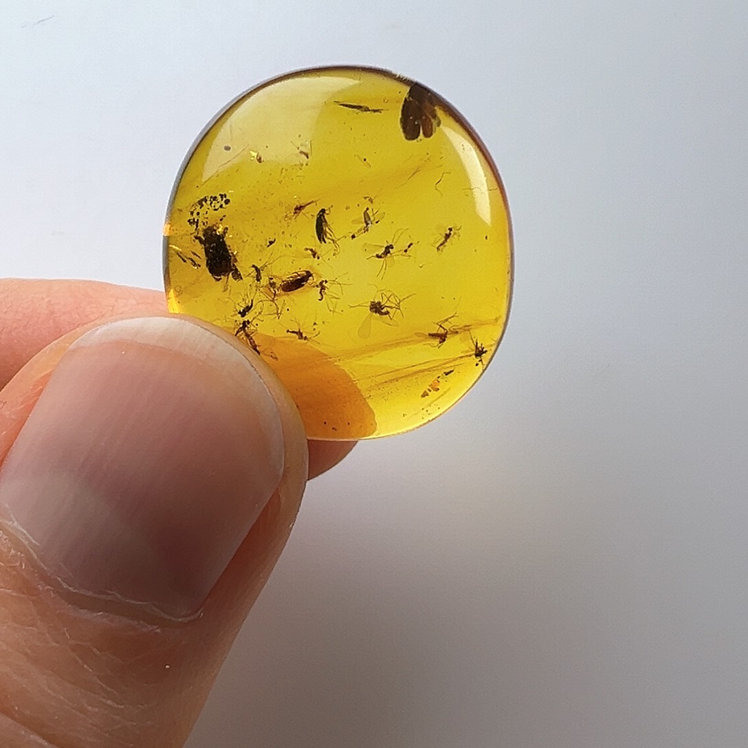 琥珀裸石未镶嵌板**?