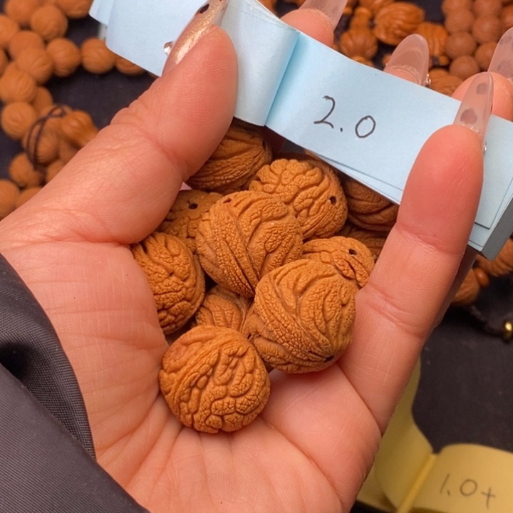 秦岭龙纹桃核13颗