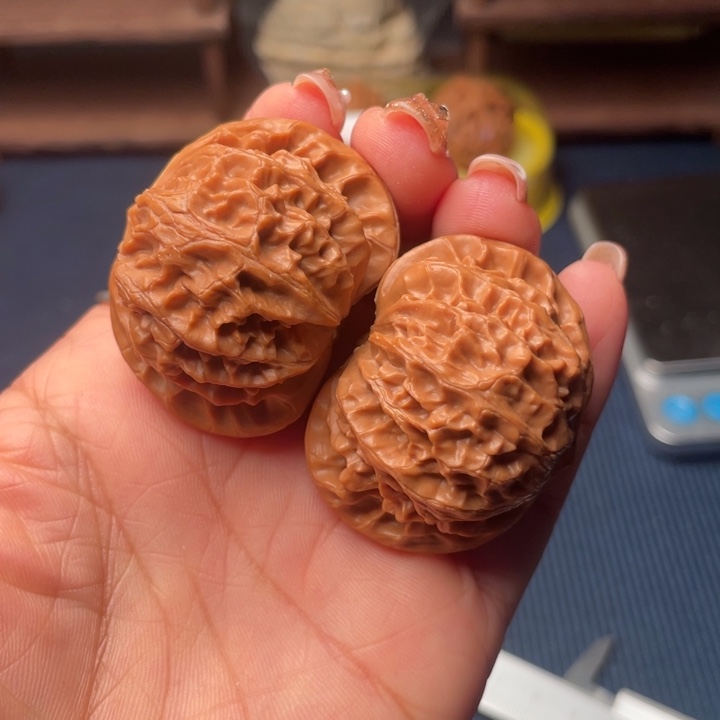 核桃41宫灯0000000