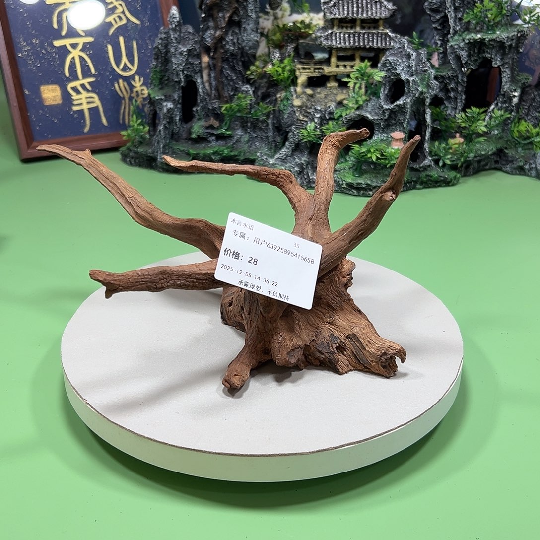 用***8大叶紫檀（黑酸枝木类）