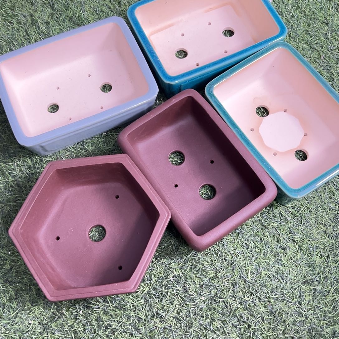 花盆紫砂五只福利盆