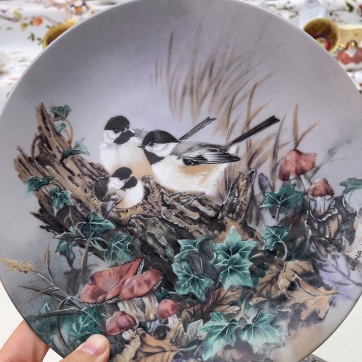 盘维多利亚欧洲中古