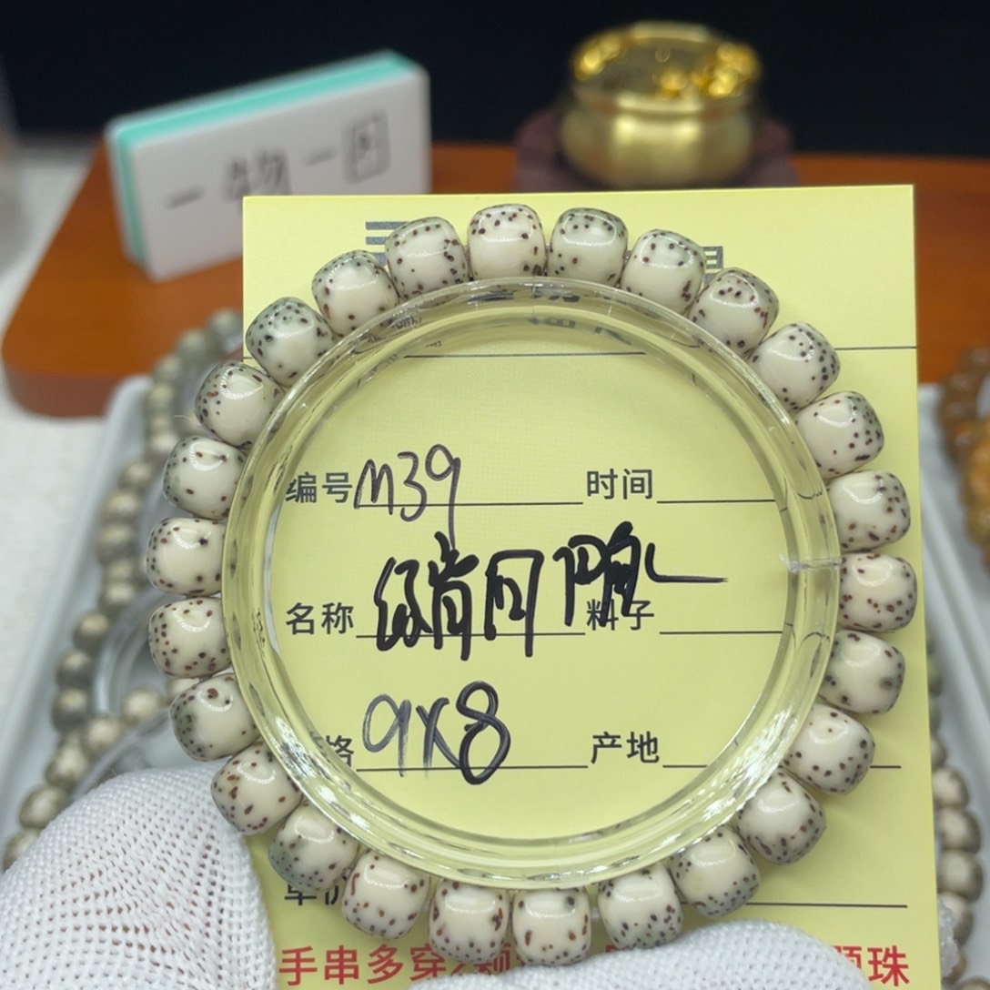 菩提籽类M绿背河豚