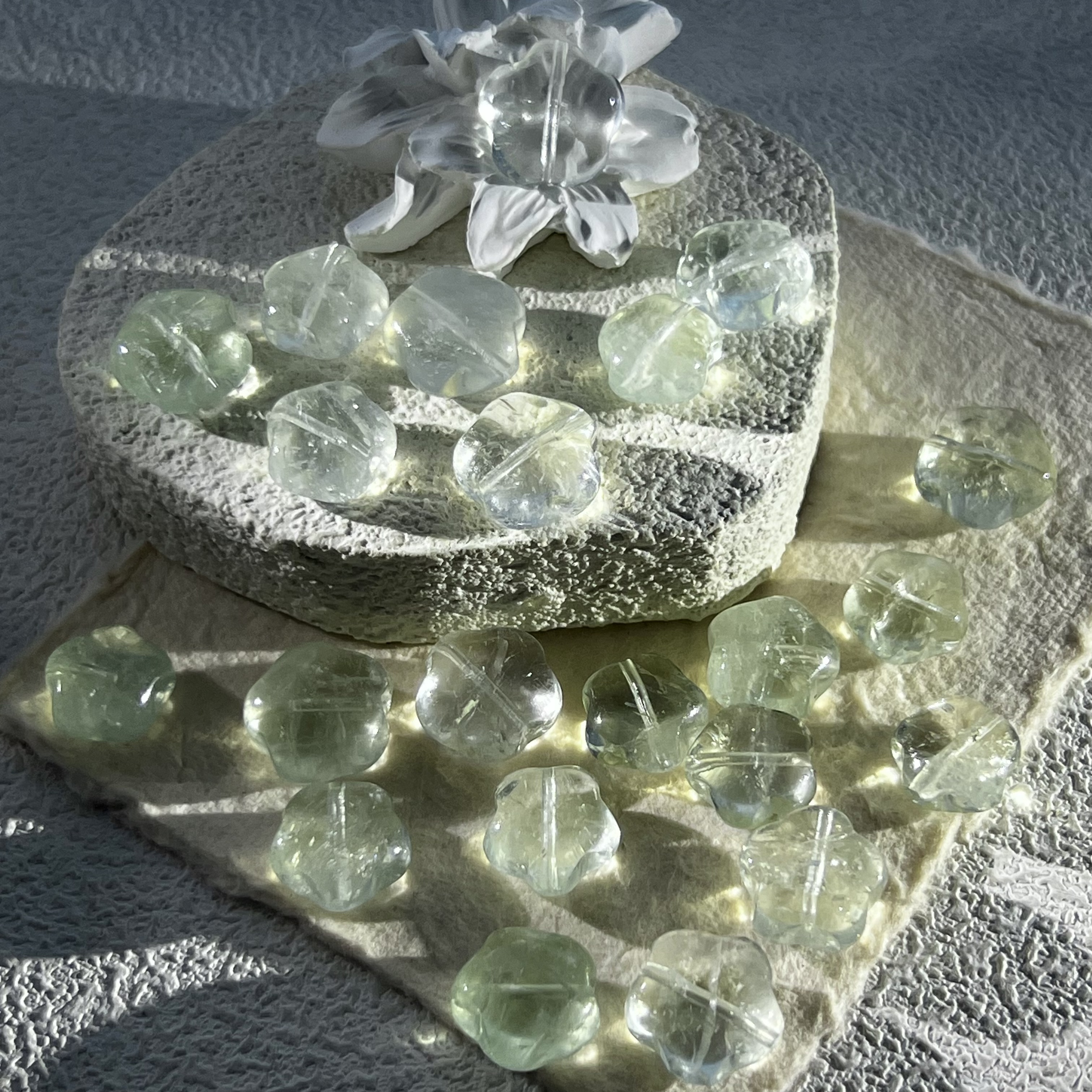 绿水胖星星 B858 多样性发其一/1个