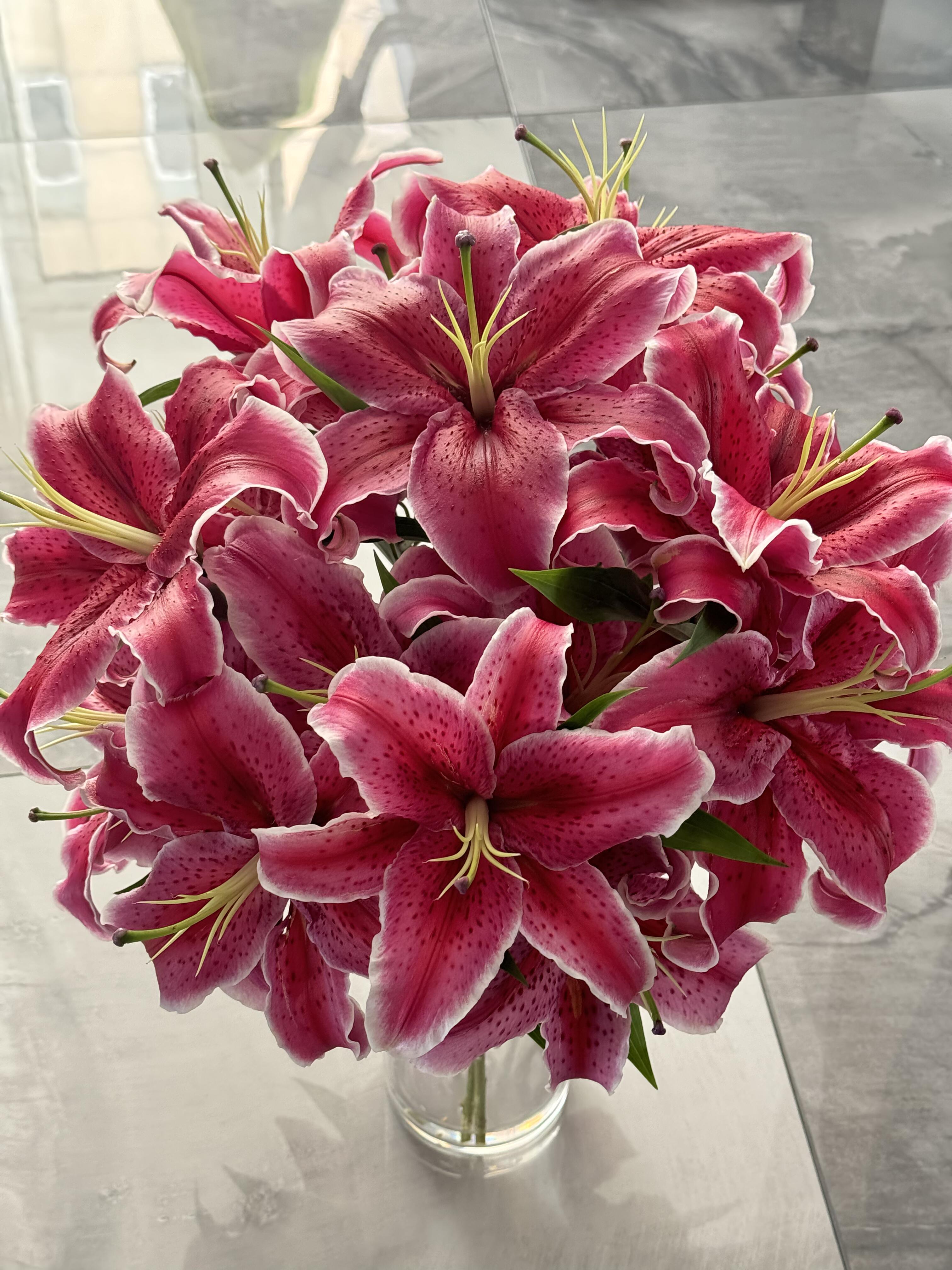 粉红色 黑美人百合一头4支（4朵）  批发花店摆地摊一手货源  