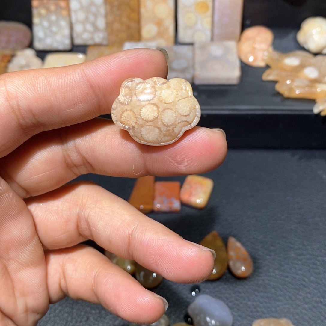 【闪购商品】硅化玉颈饰未镶嵌